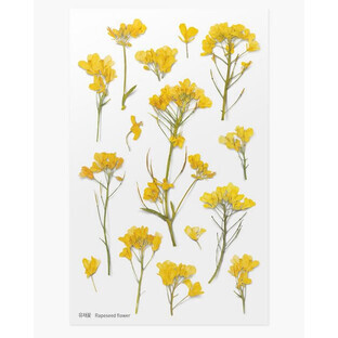 Stickers décoratifs fleurs colza