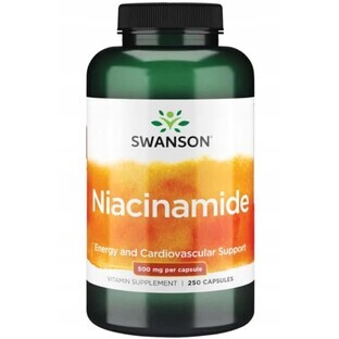 Swanson Niacinamid Vitamin B3, 250 Kapseln