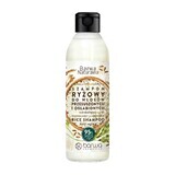 Barwa Rejuvenating Rice Shampoo, 300ml