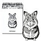 Skizzenbuch A6 hoch auf Spirale Hamster 60K 120 gsm Narcissus