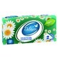 Delikato, 2-ply sanitary wipes, 200 pieces