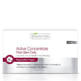Bielenda Concentré actif aux cellules souches végétales, 10 x 3 ml