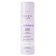Trust My Sister Let's Volume Up Shampoo voor poreus haar voor meer volume, 250 ml