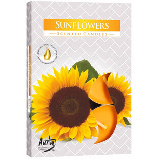Calentadores de fragancia Bispol Aura Sunflower, 6 piezas