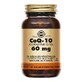 Solgar Coq10 60mg x60 Kapseln Solgar 60mg Cardiovasculaire Antioxydants x60 Kapseln