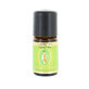 Frühling Zypresse Ätherisches Öl Bio - Biolife 5ml