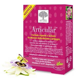 New Nordic Articular 60 Comprimes