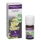 Dr. Valnet MAGGIORANA ESSENTIAL OIL BIO 5ml
