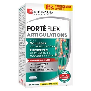 Forté Pharma Forté Flex Joints 30 gels