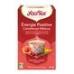 Yogi Tea Energía Positiva Hibisco 17 Bolsitas