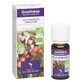 Dr. Valnet HUILE ESSENTIELLE GAULTHERIE BIO 10ml