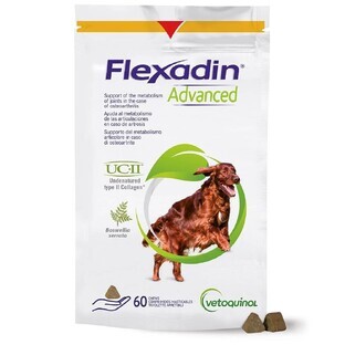 Vetoquinol Flexadin ADVANCED Suplemento para perros x 60 bocados