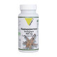 Vit'All+ Harpagophytum Bio 400 mg 60 cápsulas
