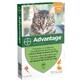 Advantage 40 Gatos y conejos pequeños de menos de 4 kg 6x0,4ml