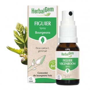 Herbalgem Bourgeons Fico spray Bio 15ml
