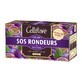 Juvamine Green Tea SOS Roundness Aroma Passion Fruit 25 Sachets