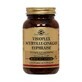Solgar Visioplex Heidelbeere-Ginkgo Euphrasia 60 Antioxydant Vision Yeux 60 gélules végétales