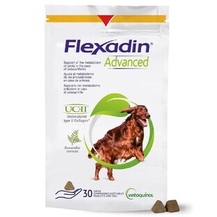 Vetoquinol Flexadin ADVANCED Supplement for Dog x 30 bites