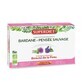 Superdiet Klette und Wildes Veilchen 20 Ampullen 15 ml