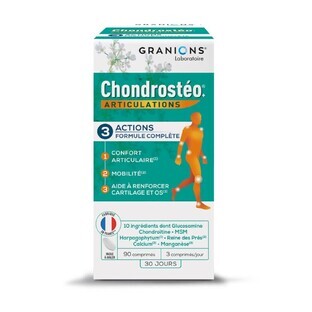 Granions Articulations 90 Condrosteo+ Comprimidos