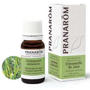 Pranarôm Essential Oils Essential Oil of Lemongrass Java 10ml