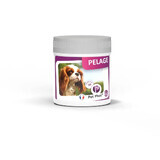 Ceva Pet Phos Coat Perro 50 comprimidos