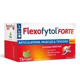 Tilman Flexofytol Forte 84 tabletten