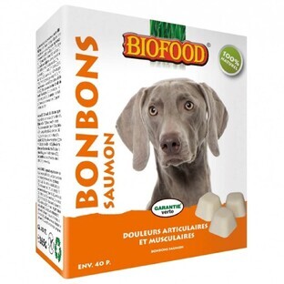 Biofood Bonbon Douleurs Articulaires Et Musculaires Maxi Saumon Chien 40 Pieces