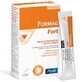 Pileje Forte Formag 15 Stäbchen