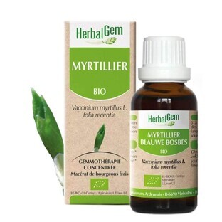 Herbalgem Bourgeons Bosbes 30ml