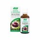 A.Vogel France Extrait de plante fraîche Marron d'Inde 50ml