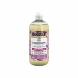 Coslys Organic Color Shampoo Radiant Hair and Strands in Coloring 500ml