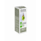 Vitaflor Bio Erlenknospen-Extrakt 15ml