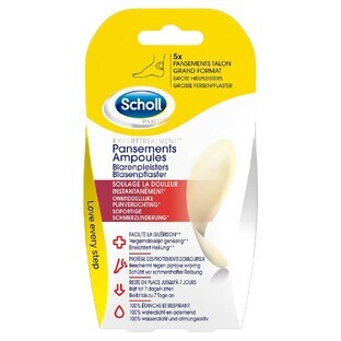 Ampoules Pansements Grand Format 5 Pansements x5 Scholl