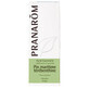 Pranarôm Essential Oils Maritime Pine Oleoresin Bio 10ml