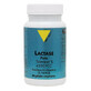 Vit'All+ Lactasa Pura Tolerasa® L 60 cápsulas
