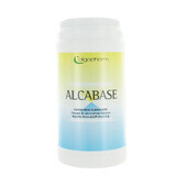 Dr. Theiss Naturwaren Alcabase Poudre 250g