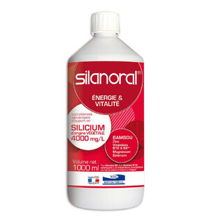 Labo Sante Silice Silanoral 1l