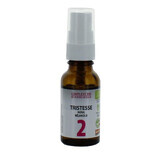 Dr. Theiss Naturwaren COMPLEXE BACH BIO N°2 TRISTESSE MORAL MELANCOLIE 20ml