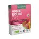 Santarome Vigne Rouge Bevordert de veneuze terugkeer Bio 20 ampullen van 10 ml