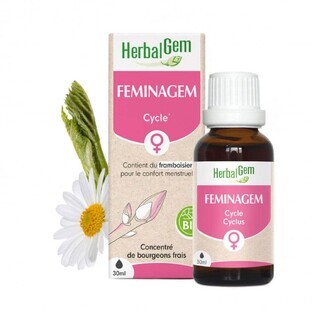 Herbalgem Bourgeons Cycle Menstruel Feminagem 30ml