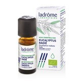 Ladrôme Olio essenziale di Eucalipto Radie 10ml