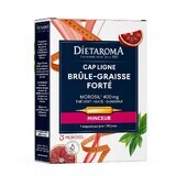 Dietaroma Fettverbrenner Capligne Forté 20 Ampullen