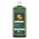 Logona Shampoo Lenitivo Souci Officinal Bio 250ml