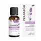 Pranarôm Les diffusables Champs De Provence Organic 30ml