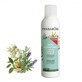Pranarôm Aromaforce Ravintsara - Organic Tea Tree Purifying Spray 150 ml