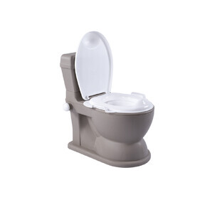 2 in 1 multifunctional educational potty, Matte Grey, Dolu
