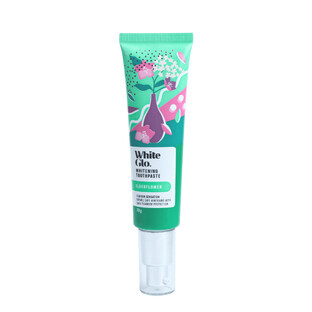 Dentifrice à la fleur de sureau, 70 g, White Glo
