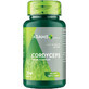 Cordyceps, 300 mg, 30 gélules, Adams