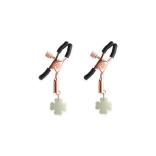 Cleme pentru sfârcuri NS Novelties G4